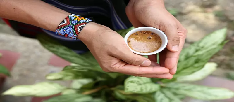 dependencia-e-abuso-de-ayahuasca